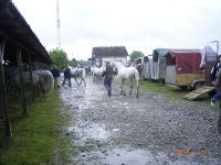 RIMG1629.jpg